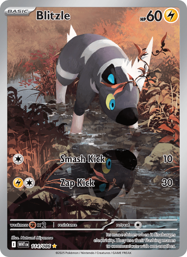 Blitzle 114/086 - White Flare - Single Cards | RareTCG