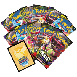 Perfect Order Elite Trainer Box