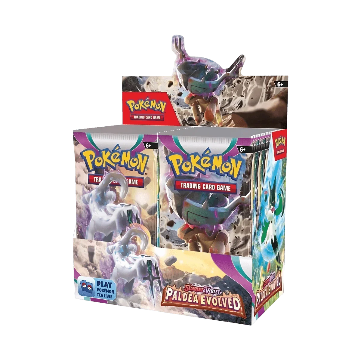 Paldea Evolved - Booster Box | RareTCG