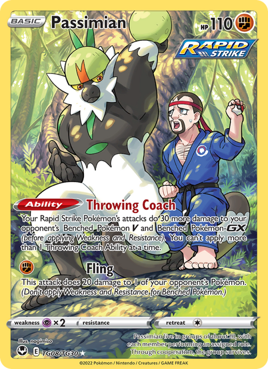 Passimian TG08/TG30 - Silver Tempest Trainer Gallery - Single Cards | RareTCG